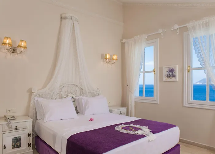 Lukka Exclusive - Adult Only +12