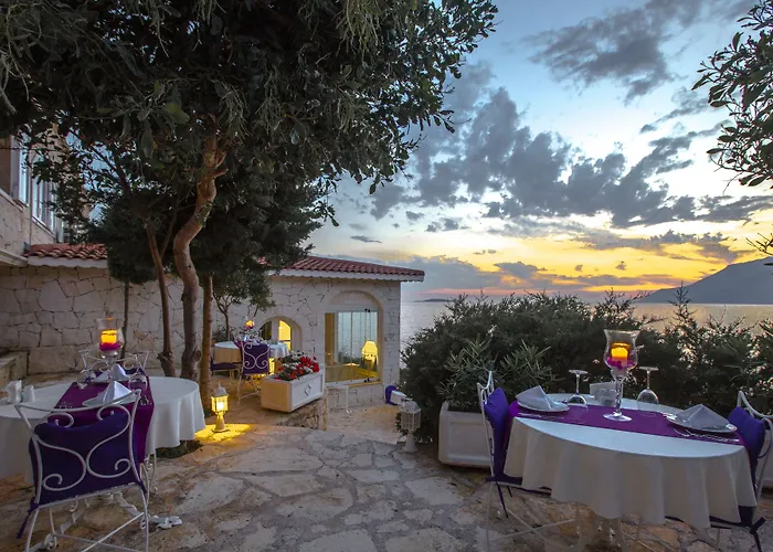 Lukka Exclusive - Adult Only +12