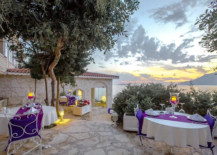 酒店 卢卡独家酒店 - 仅限成人+12 4*